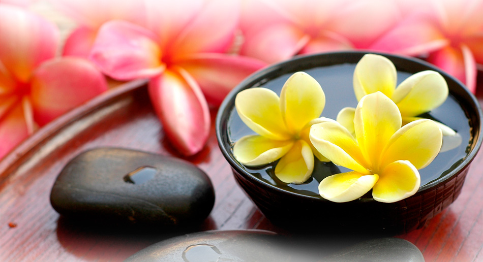 2024最新版本的轰炸系统防护